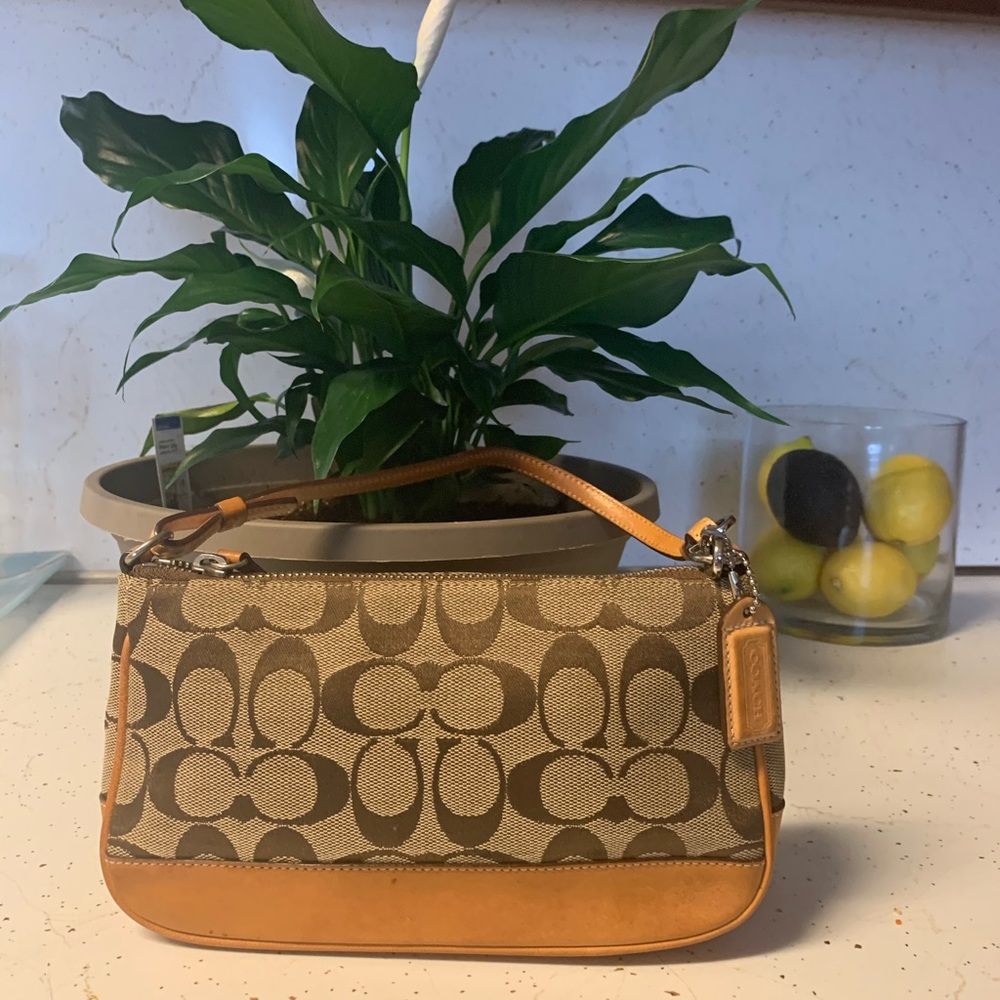 Small Coach Bag